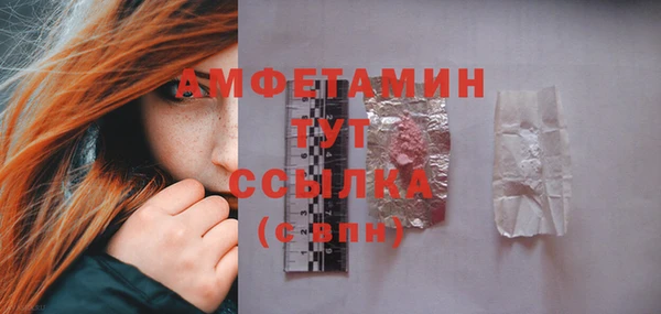 крисы Абаза