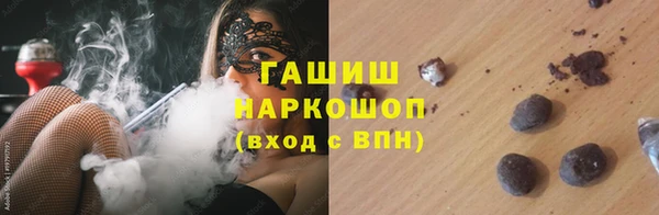 крисы Абаза