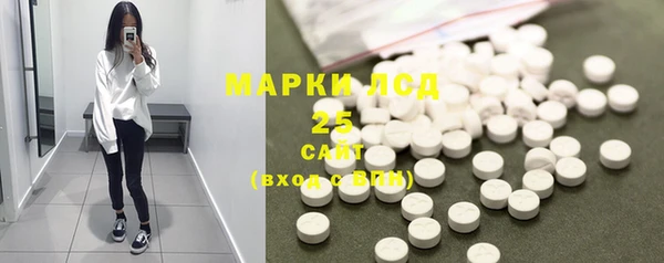 крисы Абаза