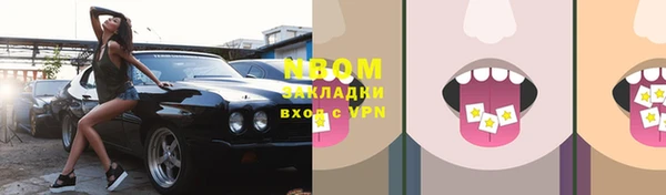 крисы Абаза