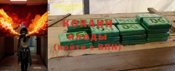 крисы Абаза