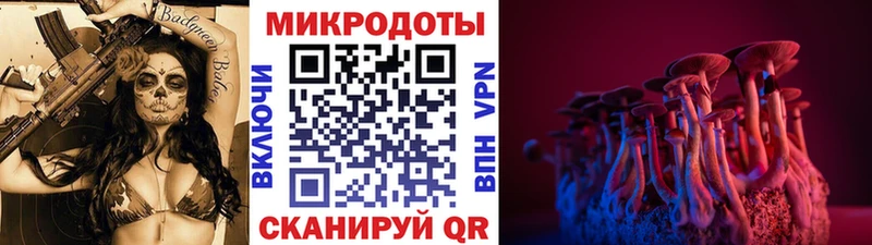 Псилоцибиновые грибы GOLDEN TEACHER Вичуга